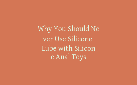 Why You Should Never Use Silicone Lube with Silicone Anal Toys